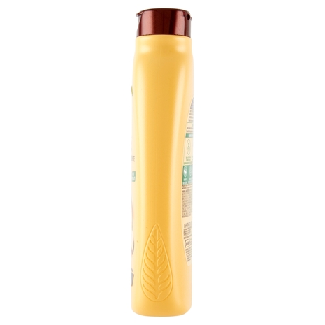 Garnier Ultra Dolce Shampoo all'olio di Avocado e burro di Karité per capelli ricci o mossi, 300 ml